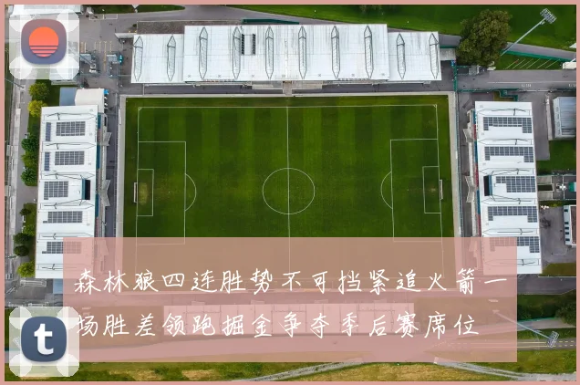 森林狼四连胜势不可挡紧追火箭一场胜差领跑掘金争夺季后赛席位